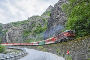 родопската теснолинейка